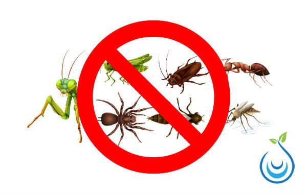 شركة مكافحة حشرات بالرياض بخصم 45% Insect-control-company-in-Riyadh