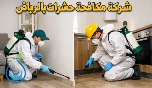 شركة مكافحة حشرات بالرياض,مكافحة حشرات بالرياض,شركة مكافحة حشرات الرياض