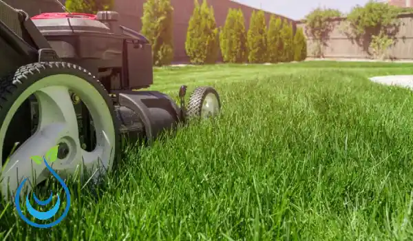 تنظيف حدائق بالرياض ,تنظيف حدائق المنزل,شركة تنظيف حدائق
