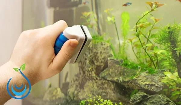 تنظيف حوض السمك 6 طرق جديدة لتنظيف حوض السمك في المنزل